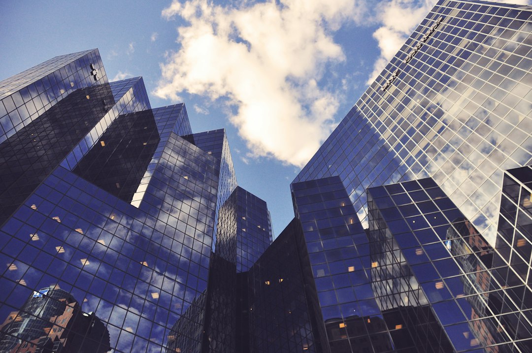 Capital Stewardship
